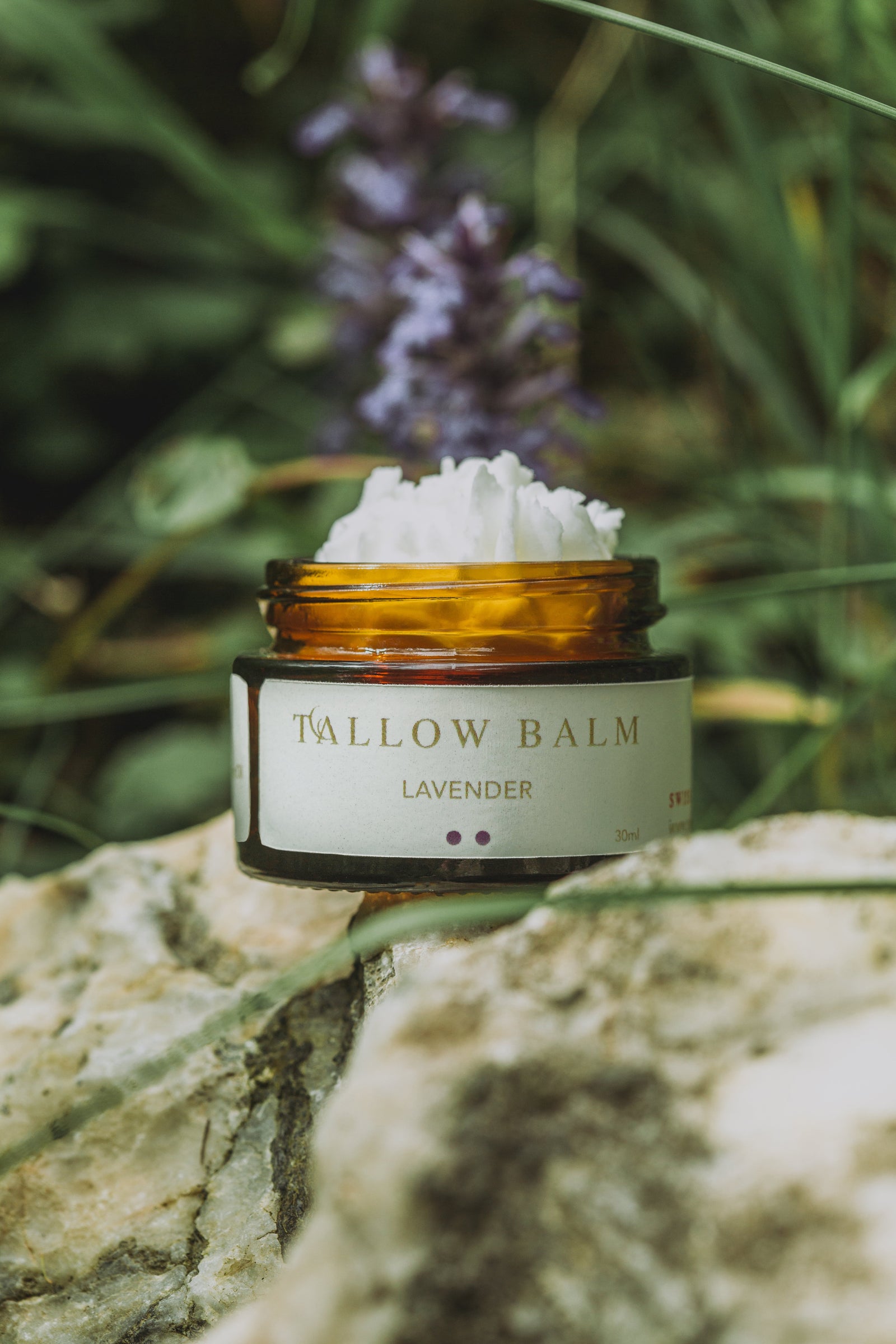 Tallow Balm Lavender elegant platziert vor blühendem Lavendel im Freien