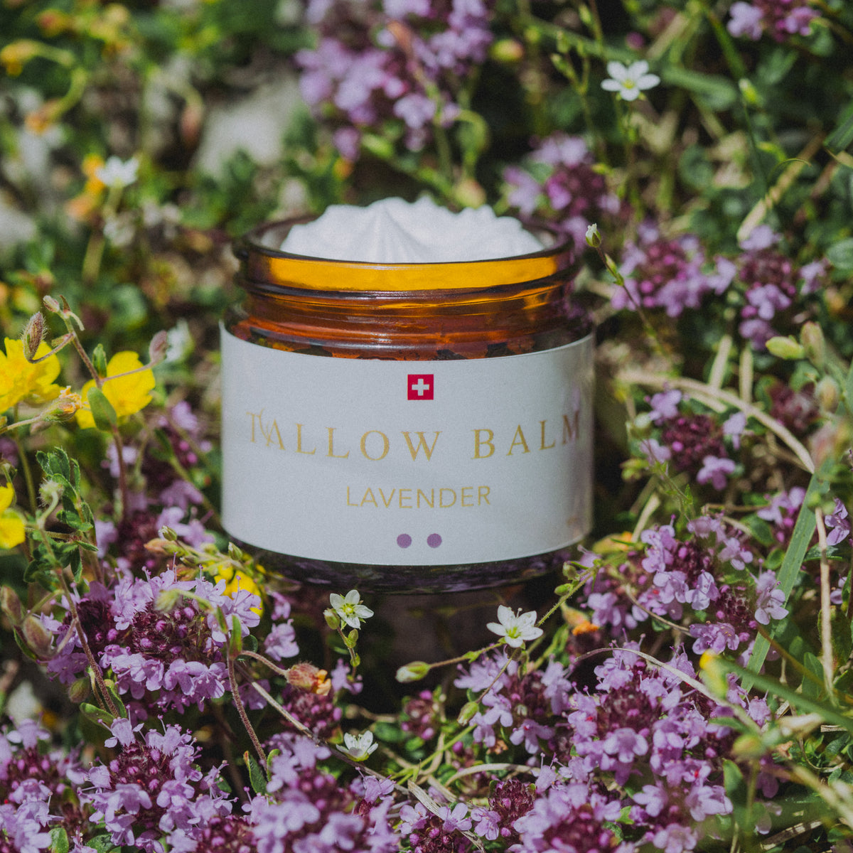 Tallow Balm Lavender