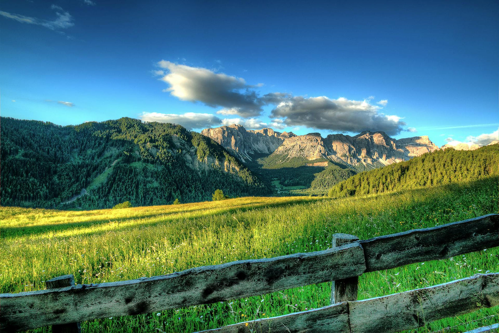 Grüner Hang mit Bauernhof – typische Schweizer Berglandschaft